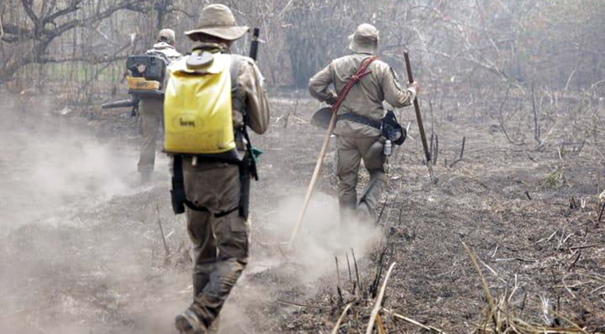 Bombeiros realizam rescaldo nas áreas queimadas, evitando o ressurgimento de novos focos de calor. CBMS