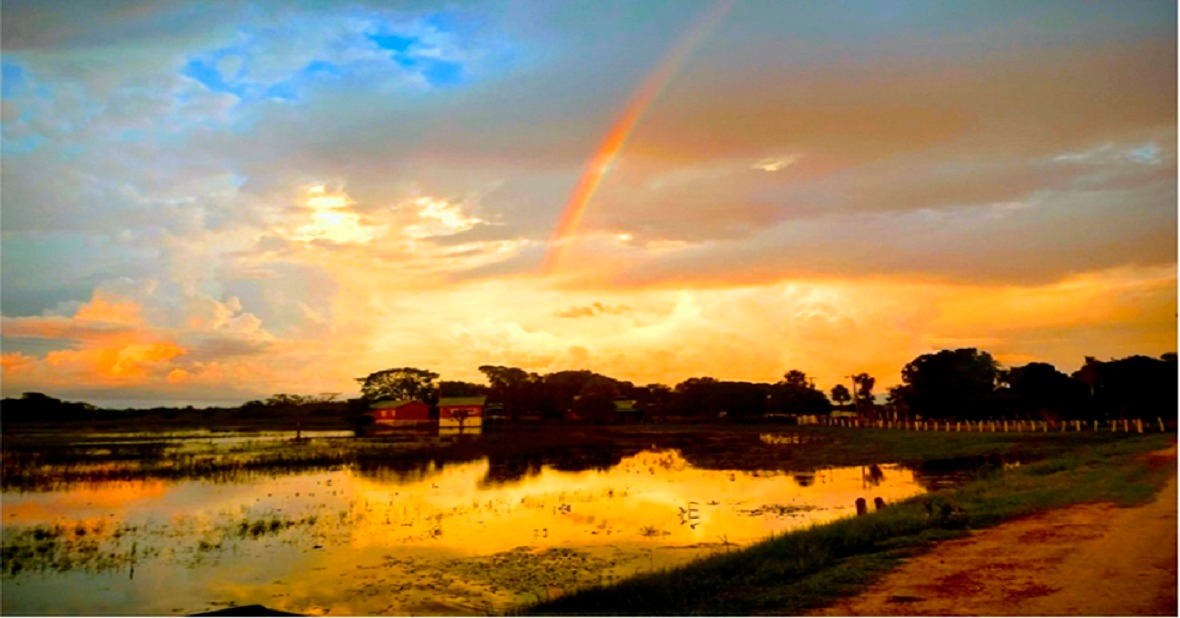 Chuvas diminuem e sábado terá sol em grande parte de Mato Grosso do Sul Estrada Parque – Pantanal Sul-Mato-Grossense. Saul Schramm