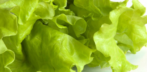 4. A escolha dos ingredientes