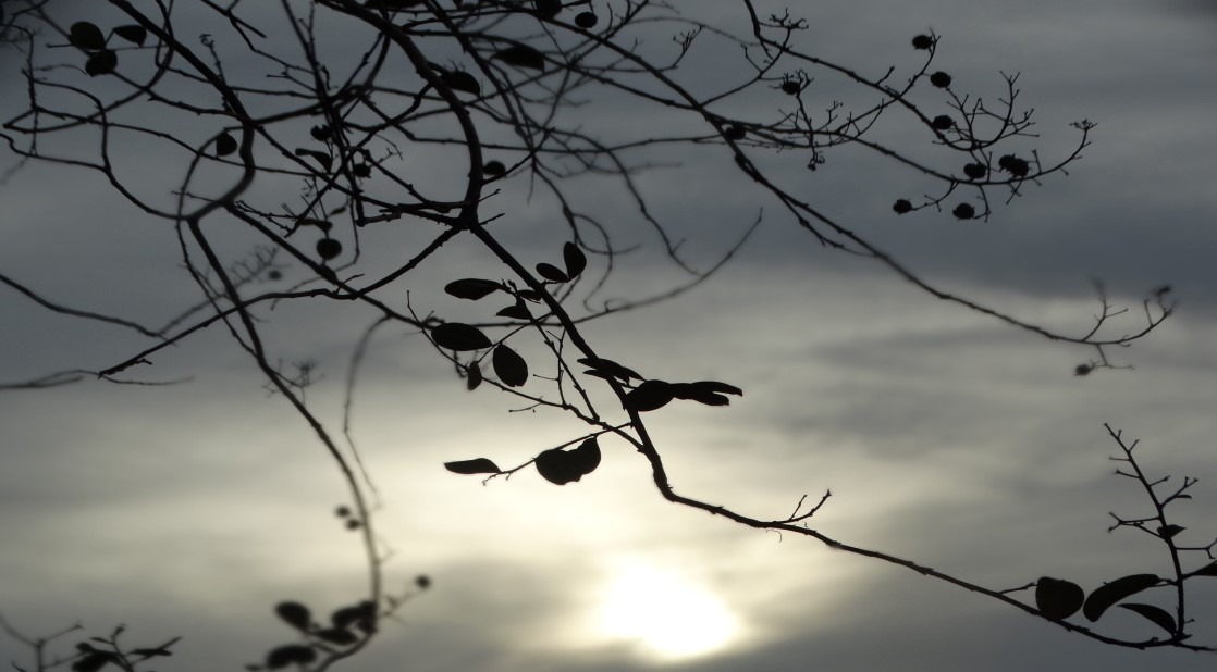 Junho começa com tempo instável em Mato Grosso do Sul Junho começa com tempo instável em Mato Grosso do Sul