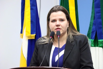 Câmara de vereadores promove seminário sobre direitos dos idosos O seminário, proposto por Daniela Hall, irá discutir sobre o direito dos idosos (Foto: Thiago Morais)