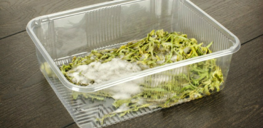 7. Não deixe a folha morrer