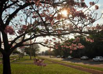 Vai começar a temporada de frio de 2017