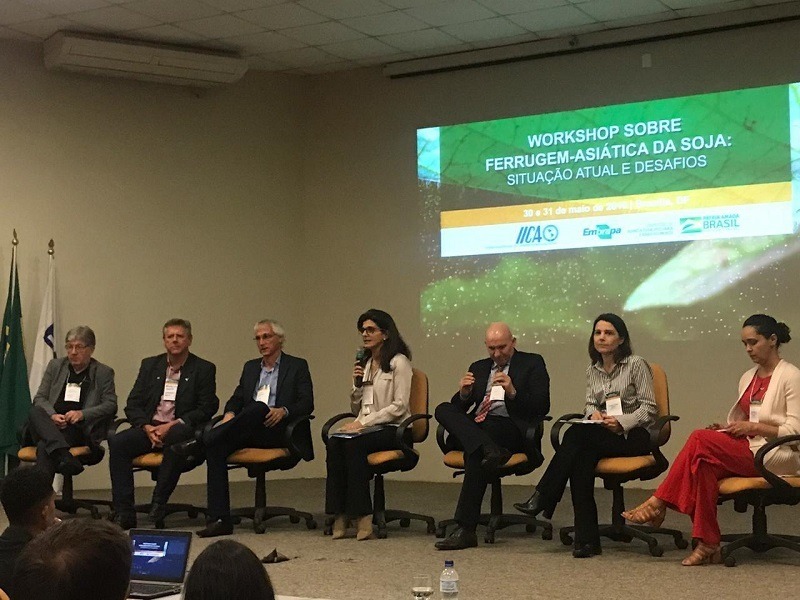 Famasul participa de evento sobre o controle da ferrugem asiática da soja Foto: Assessoria CNA