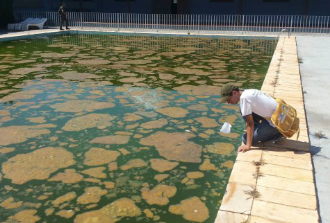 Ações de combate ao Aedes não param em Dourados (Foto:Assecom/Arquivo)
