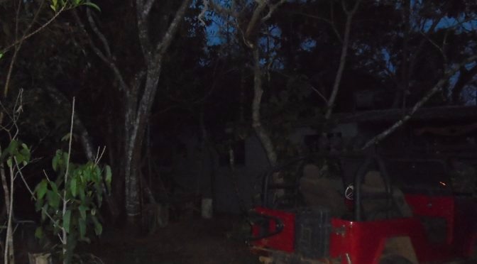 PMA autua dono de rancho de pesca por construção em área de preservação ambiental