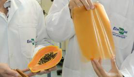 Embrapa cria filme plástico comestível para embalagensFlavio Ubiali/Embrapa