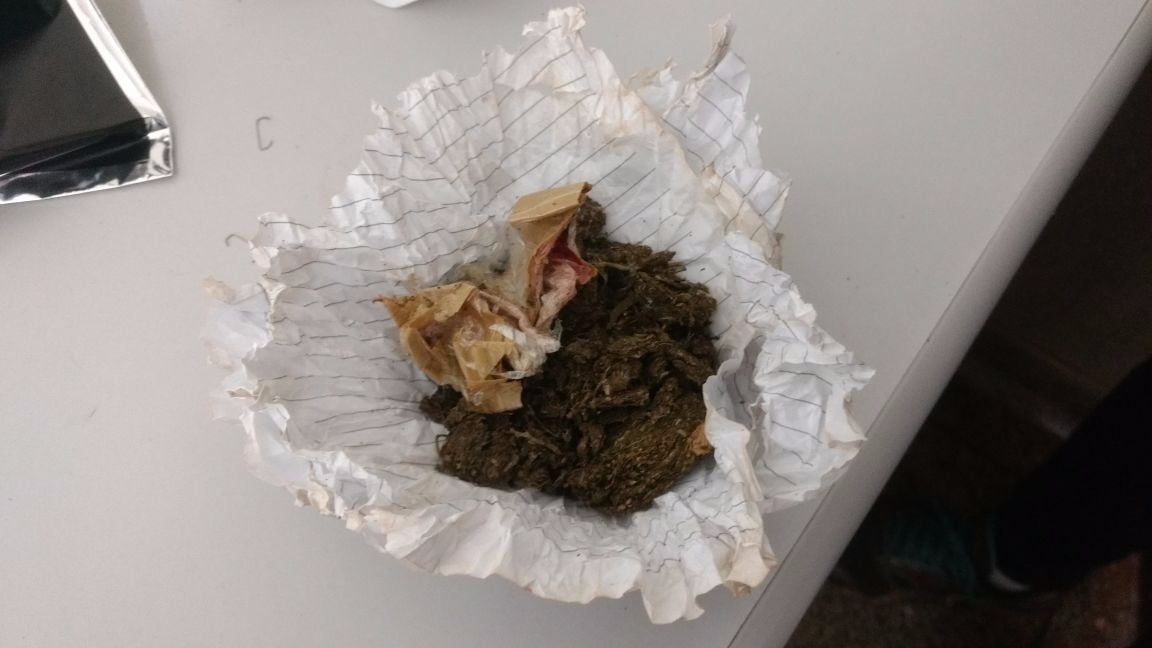 Foto: Osvaldo Duarte