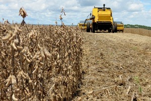 Pela sexta safra consecutiva, Mato Grosso do Sul quebra recode de produção de soja Produtores do estado voltaram a quebrar recorde de produção de soja nesta temporada (Foto: João Carlos/Sistema Famasul)