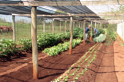 Audiência no dia 16 discute importância da agricultura familiar em Campo Grande Audiência no dia 16 discute importância da agricultura familiar em Campo Grande