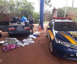 Agrotóxicos estavam entre roupas contrabandeadas - Divulgação/PRF