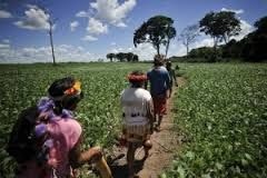 Ação social chega à Aldeia Amambai na próxima segunda-feira