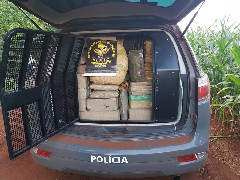 DOF apreende vários volumes de 'skunk' escondida em mata