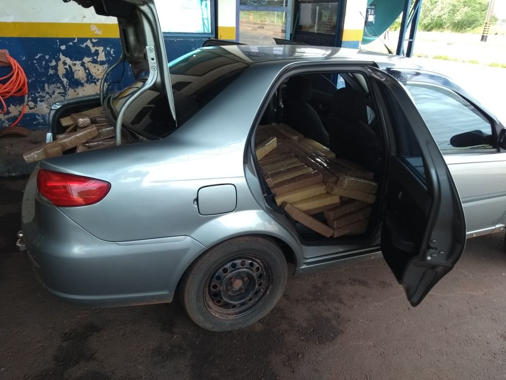 PRE apreende mais de meia tonelada de maconha em Amandina