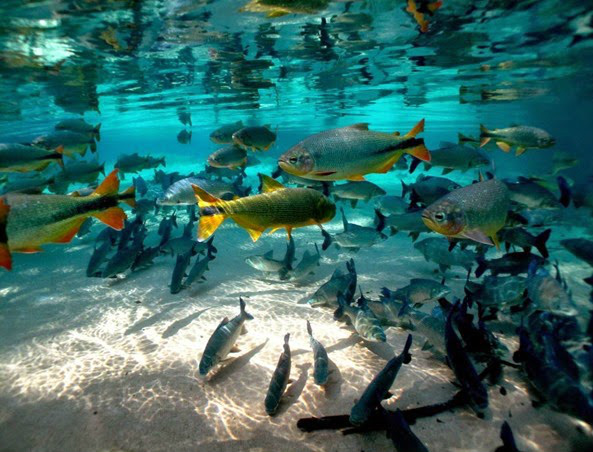 Rio da Prata, em Jardim, um espetáculo de lugar que precisa ser visitado