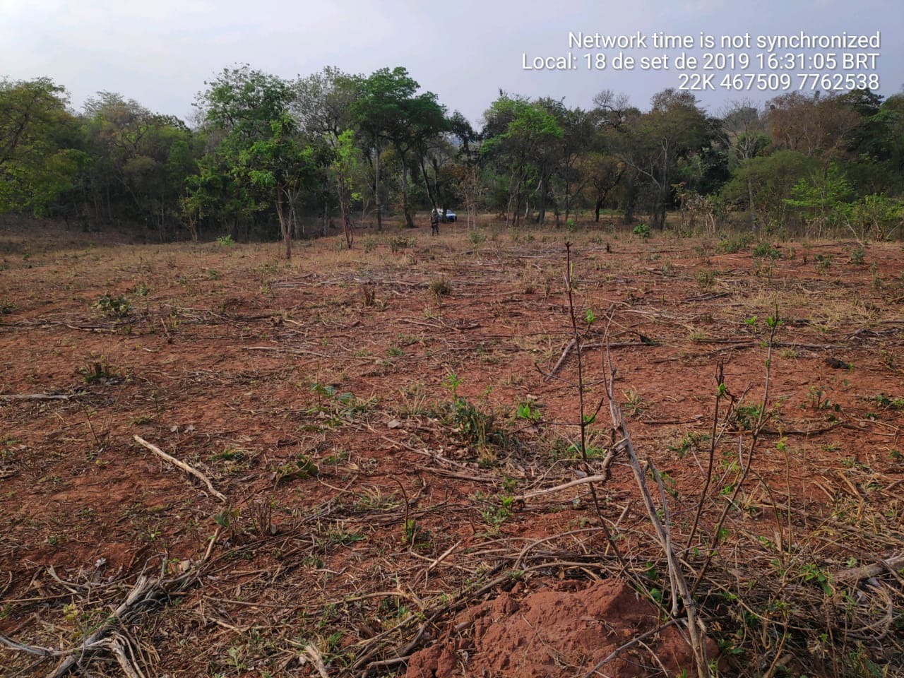 Produtor é autuado por desmatar área protegida de Mata Atlântica Produtor é autuado por desmatar área protegida de Mata Atlântica