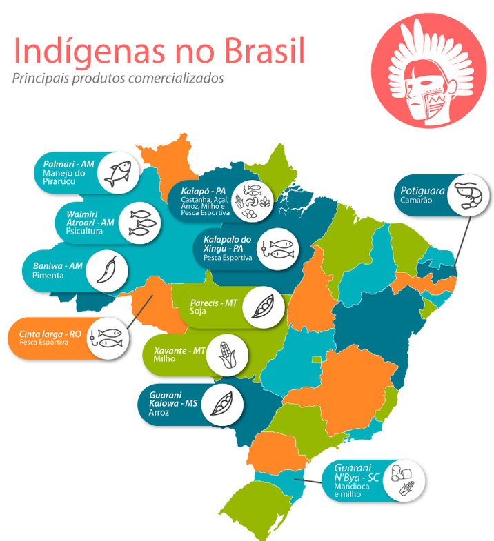 Um milhão de indígenas brasileiros buscam alternativas para sobreviver Agência Brasil