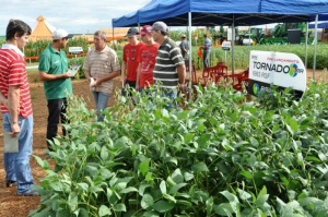 Showtec 2015 mostra como promover a sustentabilidade nas comunidades rurais. (Foto: Divulgação)