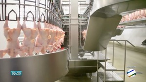 União Europeia suspendeu a compra de carne de frango de 20 frigoríficos no país, sendo dois em MS (Foto: Reprodução/TV Morena)
