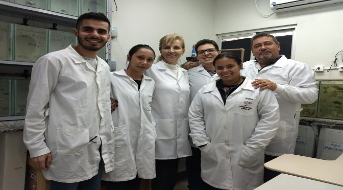 Pesquisadores desenvolvem detergente que elimina as larvas do mosquito da dengue