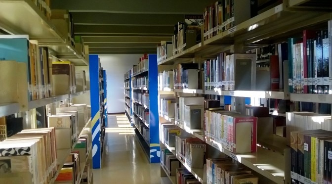 Sistema Estadual de Bibliotecas realiza recadastramento das bibliotecas municipais de MS Alexander Onça