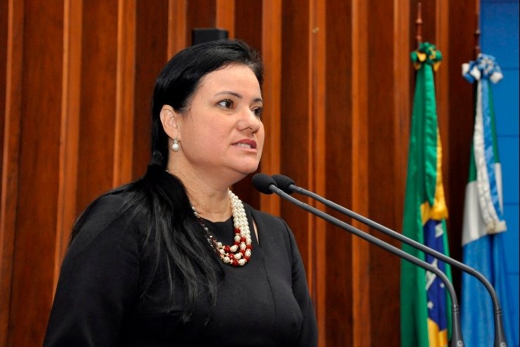 Delegada faz apelo para que sociedade não se cale diante da violência contra mulher Delegada Joilce Ramos, titular da Deam, usou a tribuna para falar sobre a violência contra a mulher no Estado. Luciana Nassar
