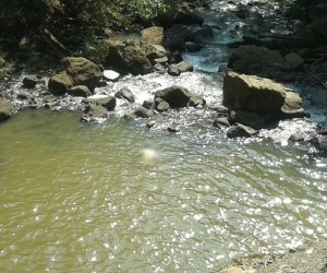Turista encontra corpo boiando durante trilha no Inferninho O corpo foi encontrado na tarde de hoje - Paulo Ribas/Correio do Estado