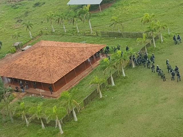 divulgação