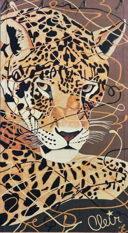 Painel tem 14 X 20 e 280 m². (Foto: Divulgação)