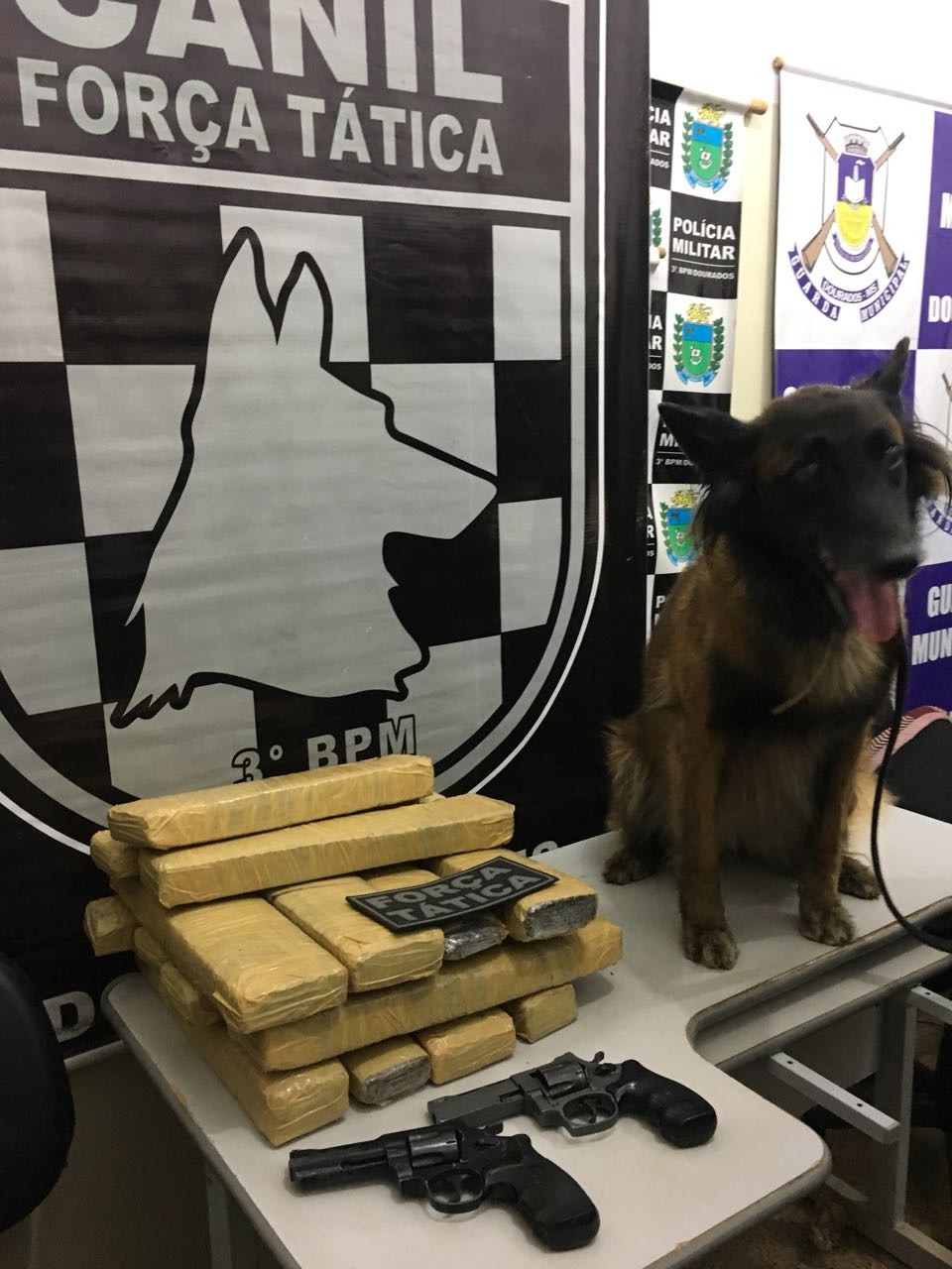 Com auxílio de cão farejador, polícia encontra droga em ônibus intermunicipal PM/Divulgação
