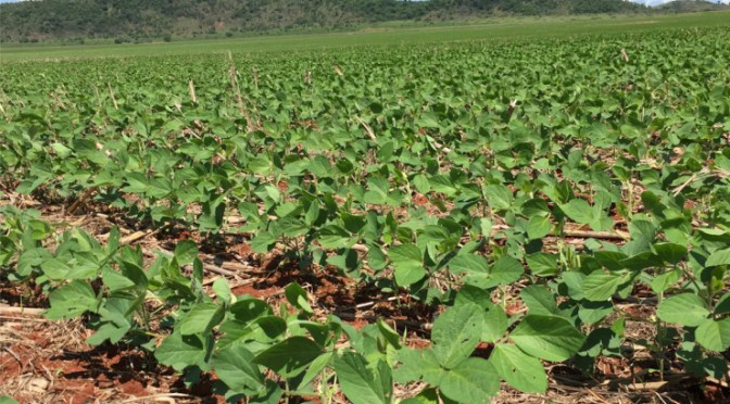 Foto :DIvulgação/UEMS