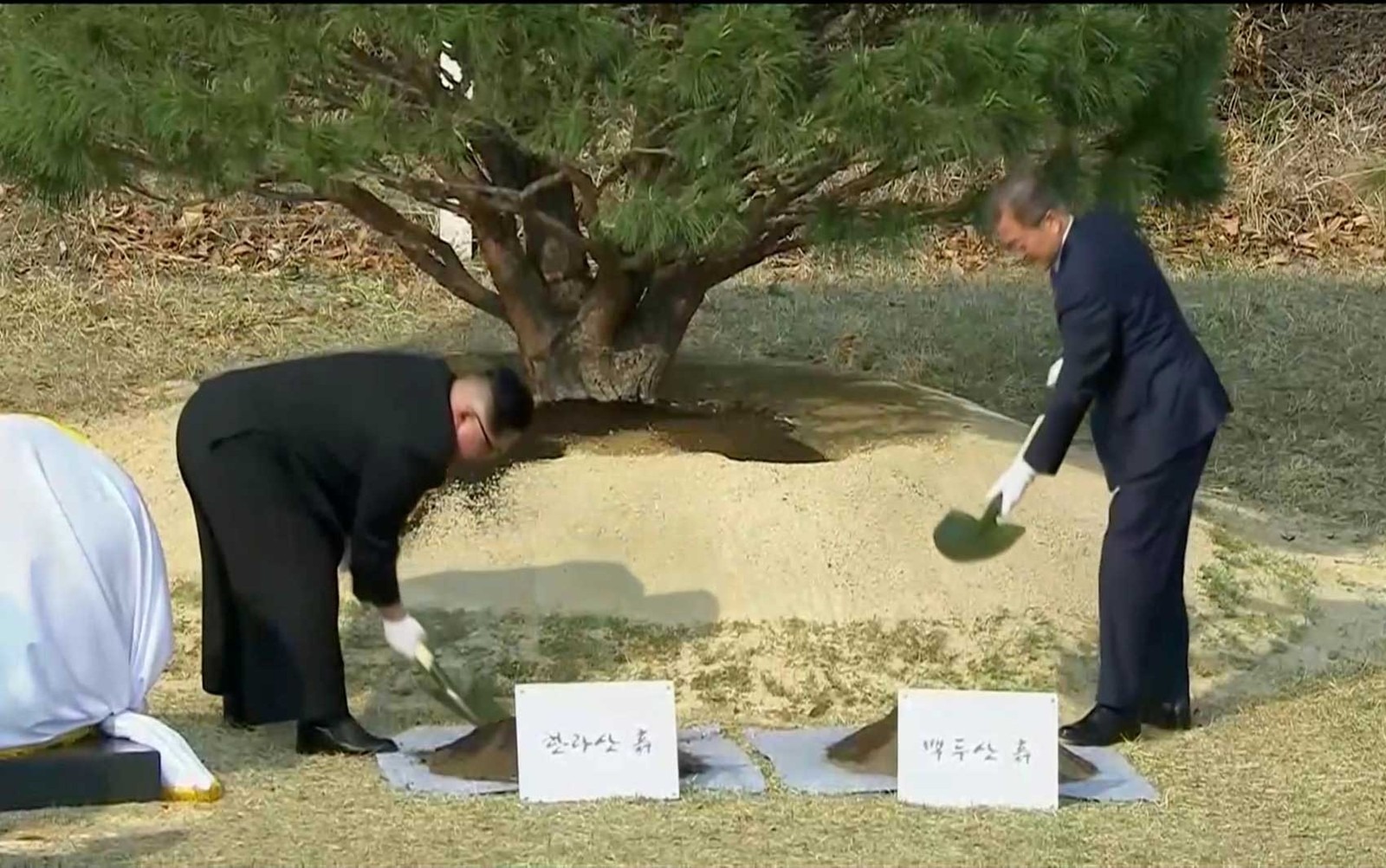 Coreias do Norte e do Sul anunciam tratado de paz para encerrar guerra O presidente sul-coreano Moon Jae-in e o líder norte-coreano Kim Jong-un participação de cerimônia em que plantam árvore na aldeia de Panmunjom (Foto: Reuters)