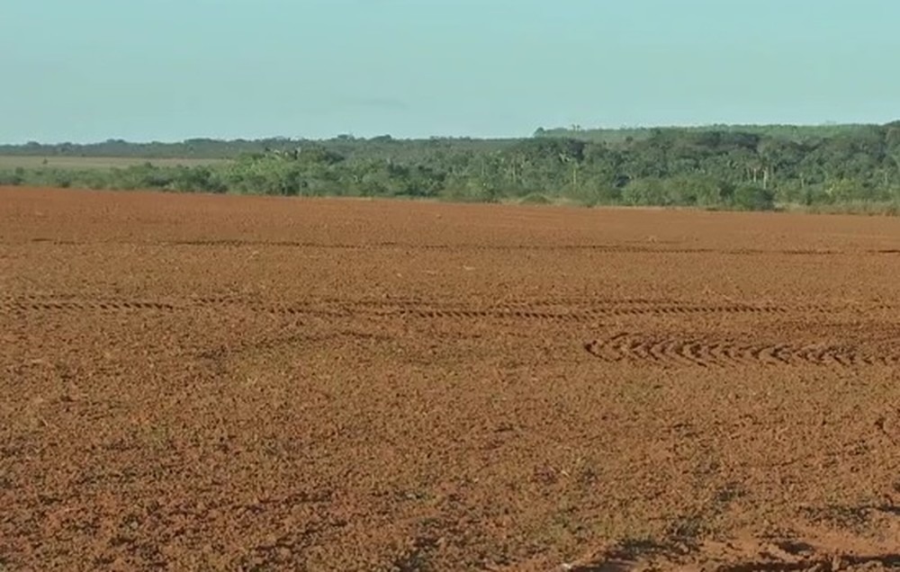 Campanha do vazio sanitário da soja é lançada em MS e começa dia 15 TVCA/Reprodução
