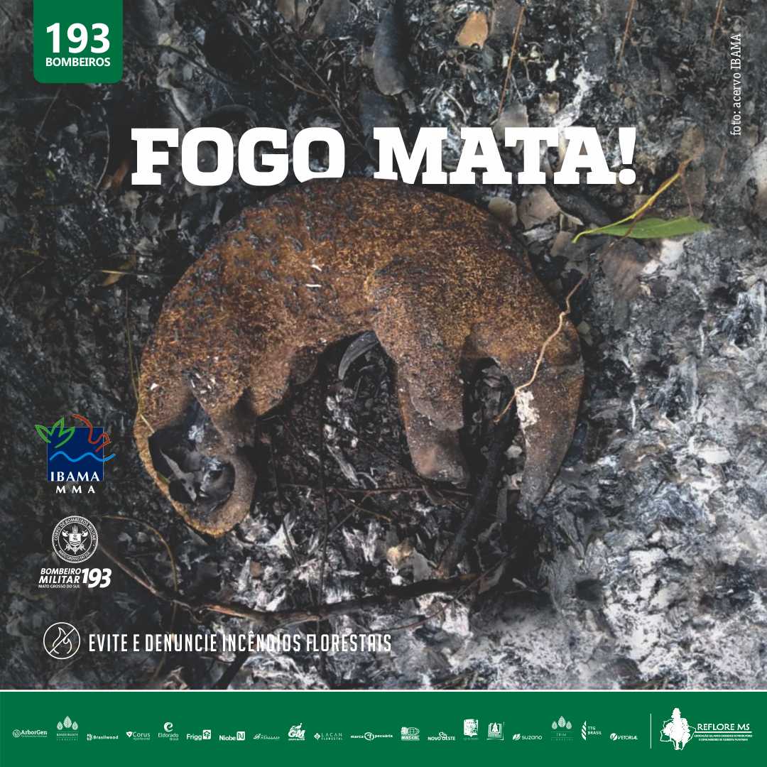 8ª Campanha do Reflore MS sobre prevenção e combate a Incêndios terá live na sexta (5) Divulgação