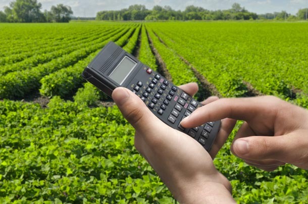 Produtores rurais têm até hoje para aderir ao parcelamento de dívidas Produtores rurais têm até hoje para aderir ao parcelamento de dívidas