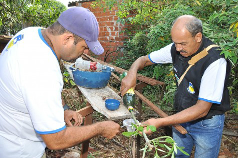 Dourados atinge a meta de imóveis vistoriados e reduz casos de dengue Apesar da redução de notificações de casos suspeitos de dengue, a prefeitura mantém foco nos mutirões e vistoria nos imóveis (FOto:Assecom/Arquivo)