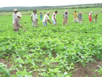 Mato Grosso do Sul tem a segunda menor taxa de desocupação do Brasil Mato Grosso do Sul tem a segunda menor taxa de desocupação do Brasil