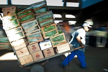Trabalho informal é maior na agricultura - Marcelo Camargo/Agência Brasil