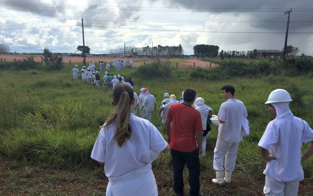 Traumas são 70% das causas de afastamento no trabalho em MS Funcionários de um frigorífico na área externa após vazamento de amônia (Foto: Dyego Queiroz /G1 MS/Arquivo)