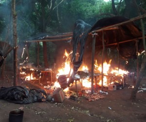 Paraguai destrói acampamentos com seis toneladas de maconha perto de MS Foto: Porã News