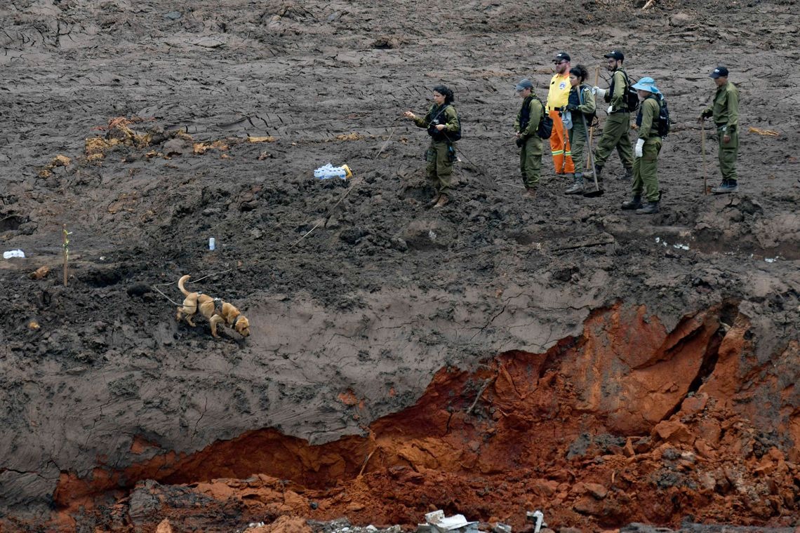 Bombeiros encontram mais um corpo de vítima de tragédia em Brumadinho Washington Alves/Reuters