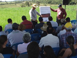 O convênio entre Agraer, Mapa e Embrapa prevê o atendimento de 200 médios produtores de 20 municípios de MS.
