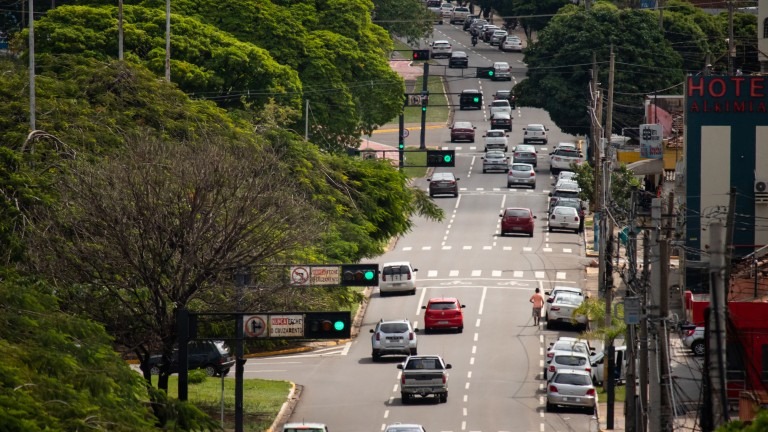 Campo Grande é reconhecida mundialmente pela excelência de sua Arborização Urbana