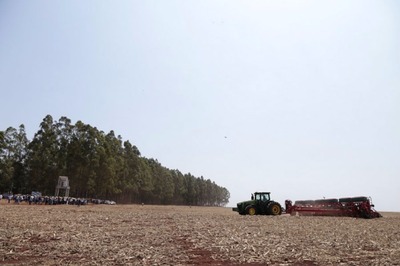 Conab prevê redução de 8% a 10,2% na produção de soja em MS na próxima safra Plantio da nova safra de soja em Mato Grosso do Sul vem ocorrendo desde a segunda quinzena de setembro (Foto: Aprosoja-MS/Divulgação)