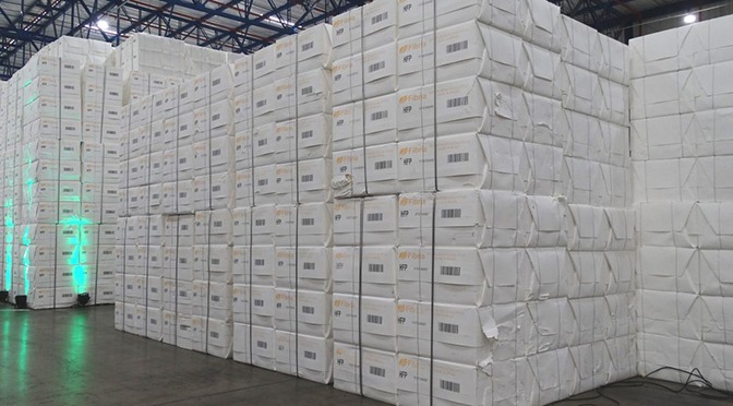 Exportações de celulose crescem 70% em 2018 e elevam balança comercial de MS