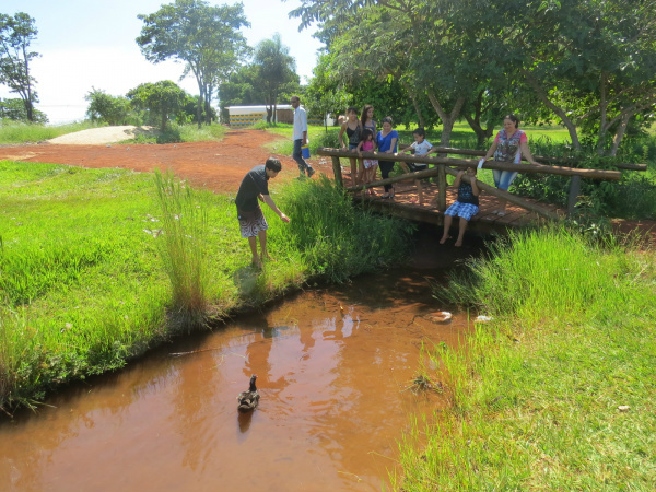 A professora Irene levou os filhos para curtir a sombra e se divertir. (Foto: Rodrigo Bossolani)
