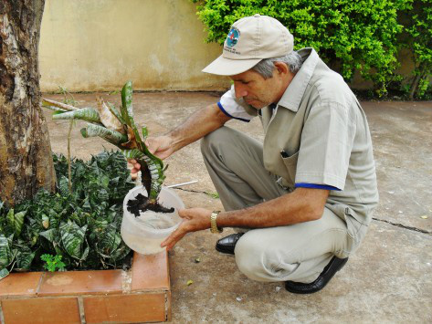 Prefeitura mantém os mutirões contra o Aedes aegypti em Dourados Os mutirões contra a proliferação do Aedes aegypti continuam acontecendo em todas as regiões de Dourados (Foto:Assecom)
