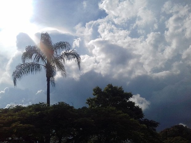 Céu parcialmente nublado e calor marcam a segunda em MS Foto: Divulgação