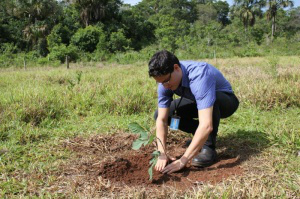 Plantio de mudas nativas do cerrado, durante ação em área do Lageadinho. (Foto: Divulgação)
