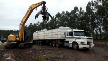 Flagrantes aconteceram principalmente em carretas (Foto: PRF/Divulgação)